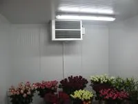 Кондиционер для цветочных магазинов